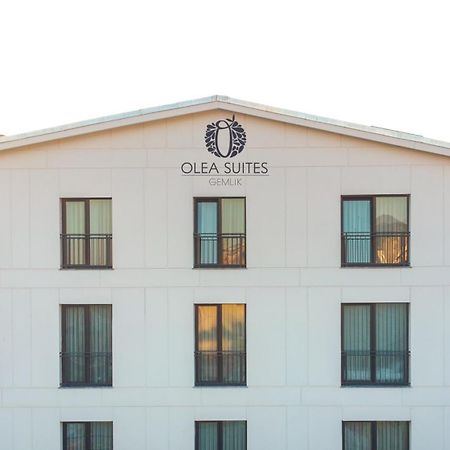 Olea Suites Otel Gemlik Luaran gambar